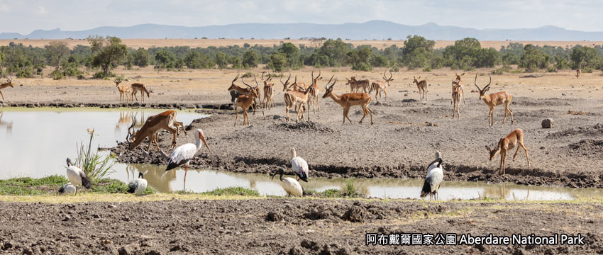 阿布戴爾國家公園